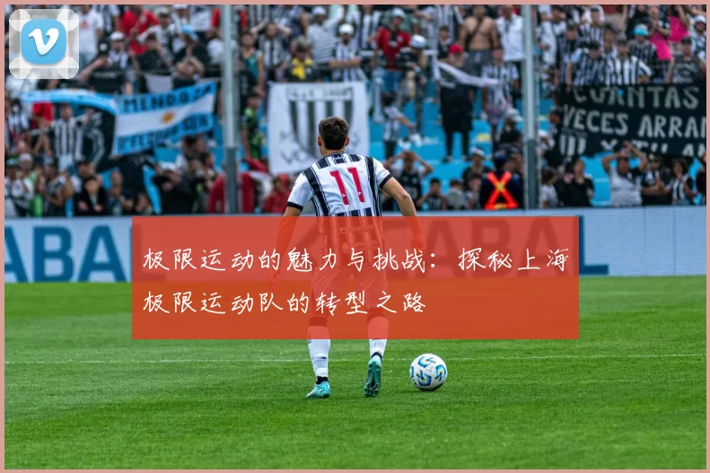 极限运动的魅力与挑战：探秘上海极限运动队的转型之路