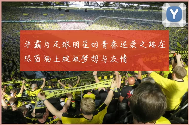 学霸与足球明星的青春逆袭之路在绿茵场上绽放梦想与友情
