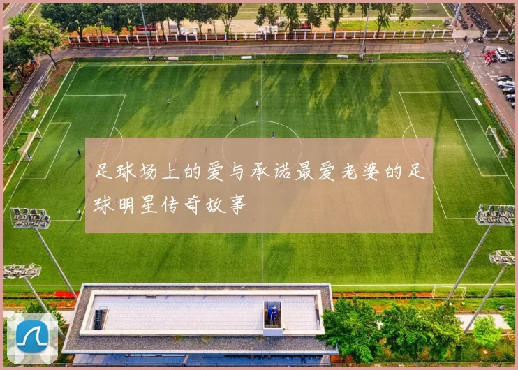 足球场上的爱与承诺最爱老婆的足球明星传奇故事
