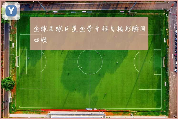 全球足球巨星全景介绍与精彩瞬间回顾