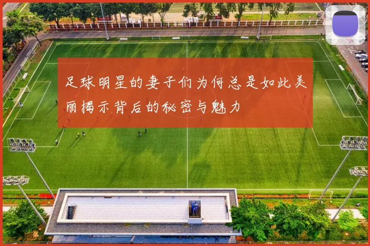足球明星的妻子们为何总是如此美丽揭示背后的秘密与魅力