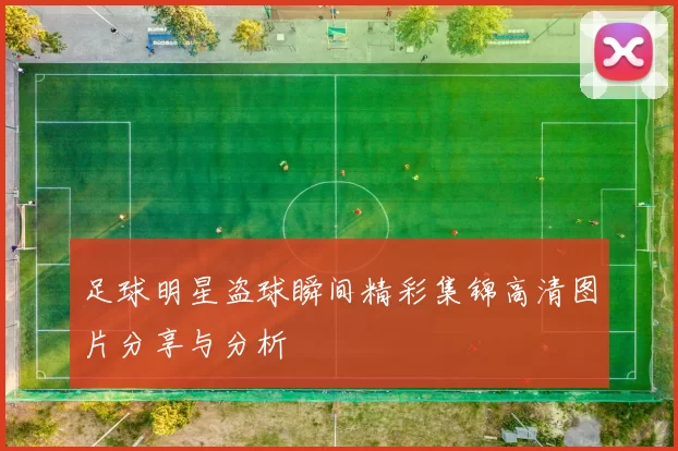 足球明星盗球瞬间精彩集锦高清图片分享与分析