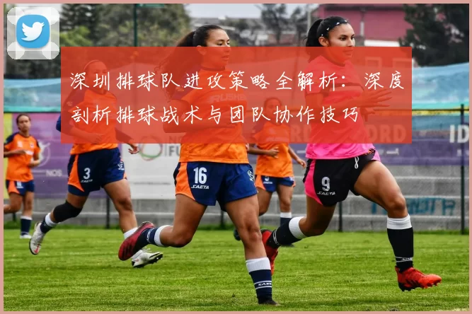深圳排球队进攻策略全解析：深度剖析排球战术与团队协作技巧