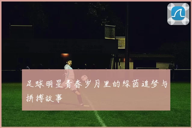 足球明星青春岁月里的绿茵追梦与拼搏故事