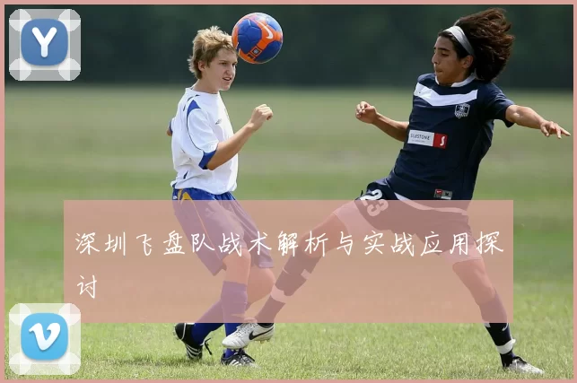 深圳飞盘队战术解析与实战应用探讨