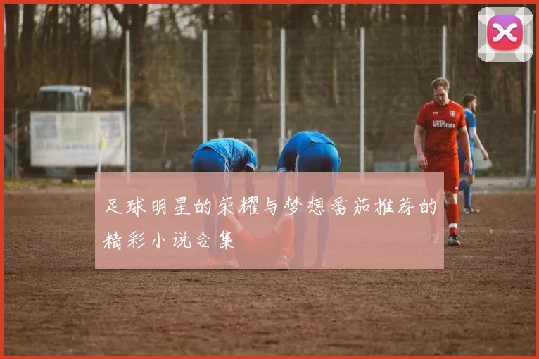 足球明星的荣耀与梦想番茄推荐的精彩小说合集