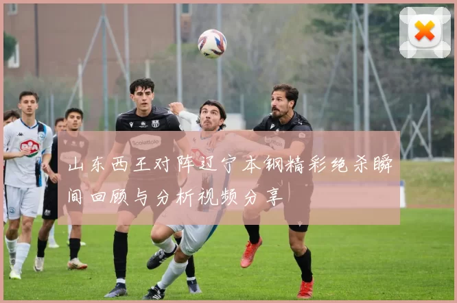 山东西王对阵辽宁本钢精彩绝杀瞬间回顾与分析视频分享