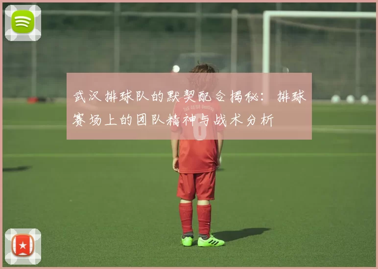 武汉排球队的默契配合揭秘：排球赛场上的团队精神与战术分析