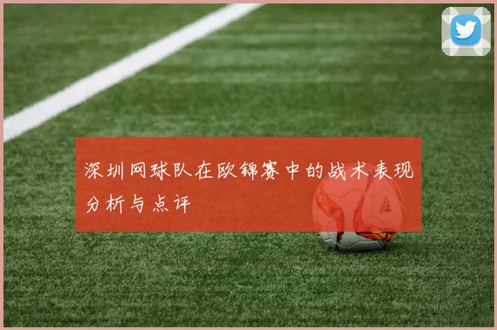 深圳网球队在欧锦赛中的战术表现分析与点评