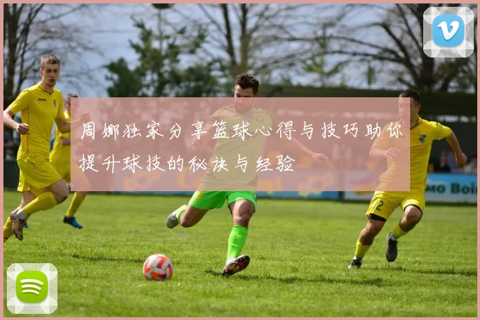 周娜独家分享篮球心得与技巧助你提升球技的秘诀与经验