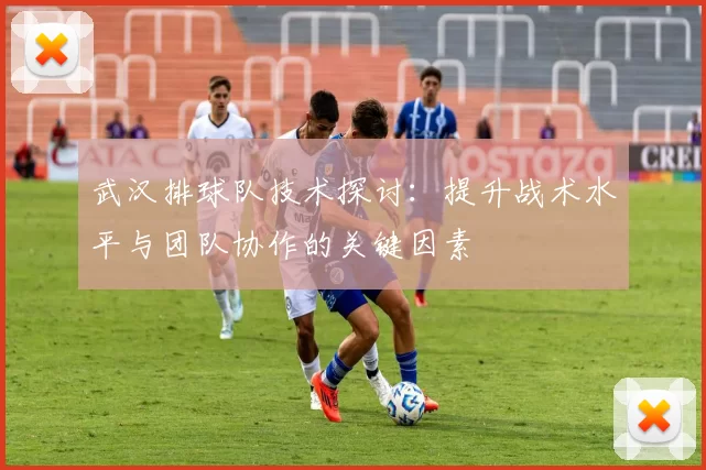 武汉排球队技术探讨：提升战术水平与团队协作的关键因素