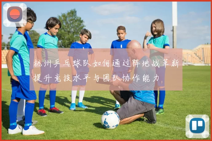 杭州乒乓球队如何通过阵地战革新提升竞技水平与团队协作能力