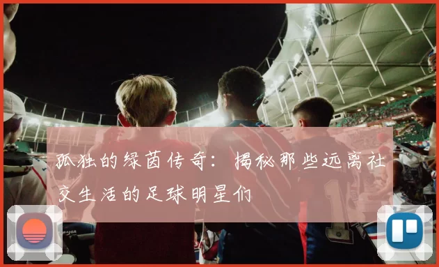 孤独的绿茵传奇：揭秘那些远离社交生活的足球明星们