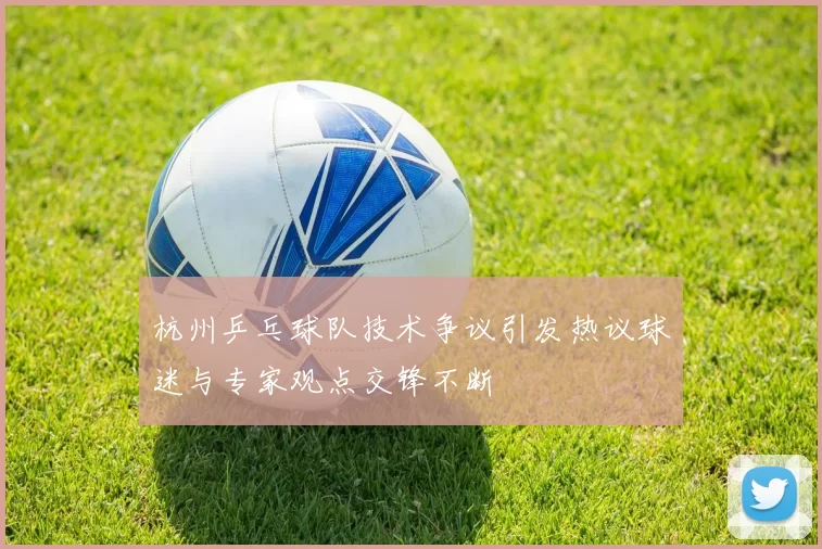 杭州乒乓球队技术争议引发热议球迷与专家观点交锋不断
