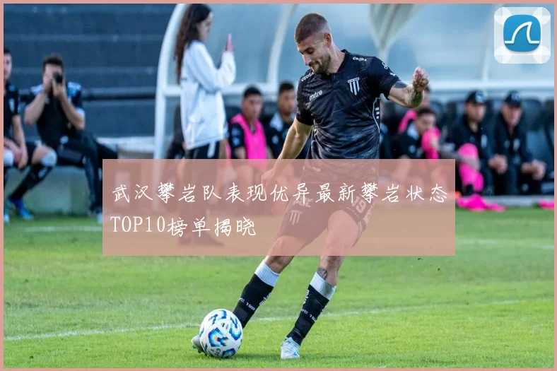 武汉攀岩队表现优异最新攀岩状态TOP10榜单揭晓