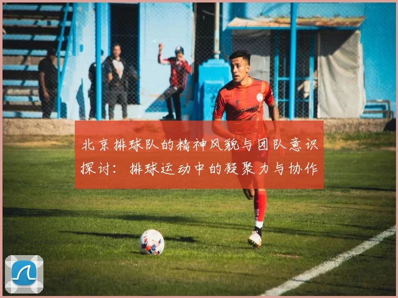 北京排球队的精神风貌与团队意识探讨：排球运动中的凝聚力与协作精神