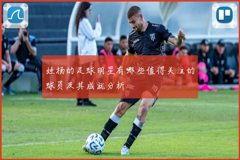 姓杨的足球明星有哪些值得关注的球员及其成就分析