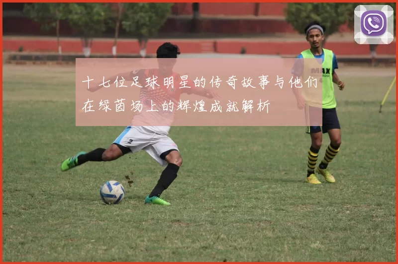 十七位足球明星的传奇故事与他们在绿茵场上的辉煌成就解析