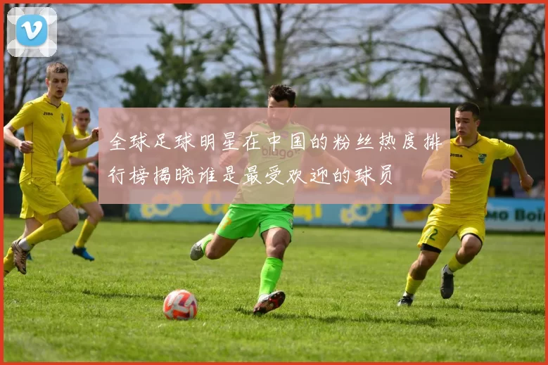 全球足球明星在中国的粉丝热度排行榜揭晓谁是最受欢迎的球员