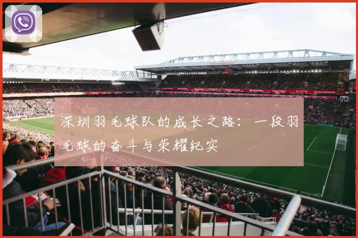 深圳羽毛球队的成长之路：一段羽毛球的奋斗与荣耀纪实