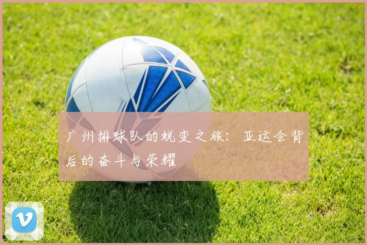 广州排球队的蜕变之旅：亚运会背后的奋斗与荣耀